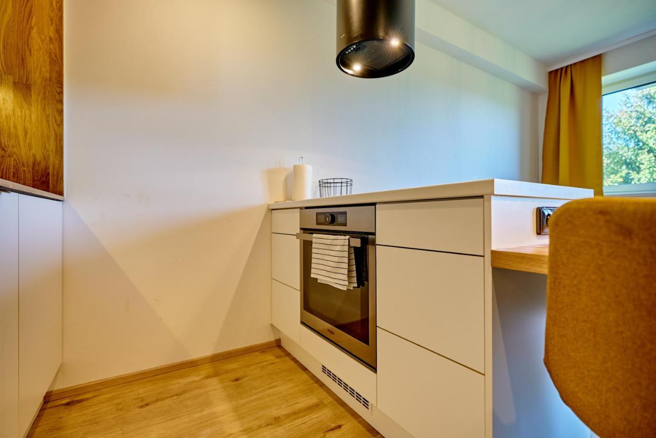 Klinovec Suite By Mountain Ways Loučná pod Klínovcem Dış mekan fotoğraf